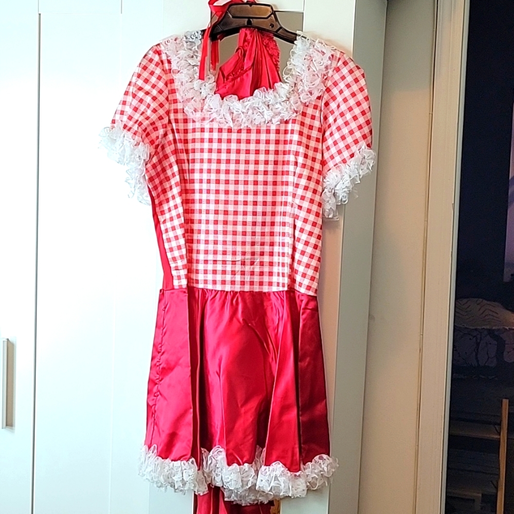 Naughty Little Red Riding Hood Adult Costume L/XL